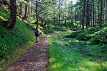 Bando per la concessione di contributi all’associazionismo per la manutenzione ordinaria della rete escursionistica effettuata nel 2025.